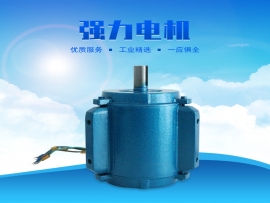 科瑞萊環(huán)?？照{(diào)1.1KW專用電機